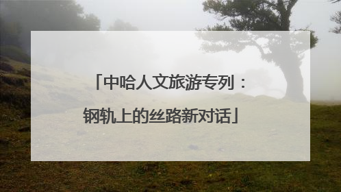 中哈人文旅游专列：钢轨上的丝路新对话