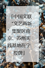 中国文联“文艺两新”集聚区南京、苏州实践基地在宁授牌