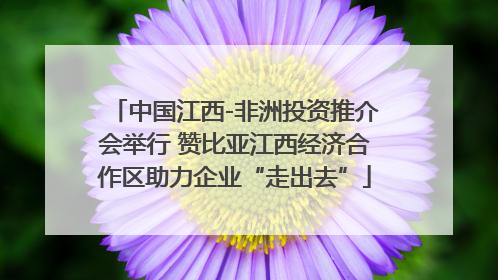中国江西-非洲投资推介会举行 赞比亚江西经济合作区助力企业“走出去”
