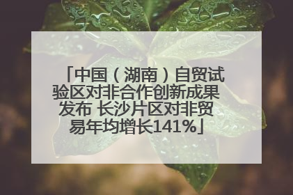 中国（湖南）自贸试验区对非合作创新成果发布 长沙片区对非贸易年均增长141%