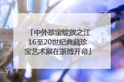 中外珍宝绽放之江 16至20世纪典藏珍宝艺术展在浙博开幕