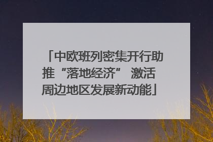 中欧班列密集开行助推“落地经济” 激活周边地区发展新动能