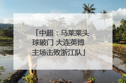 中超：马莱莱头球破门 大连英博主场击败浙江队