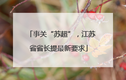 事关“苏超”，江苏省省长提最新要求