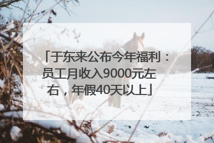 于东来公布今年福利：员工月收入9000元左右，年假40天以上