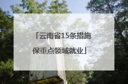 云南省15条措施保重点领域就业