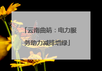 云南曲靖：电力服务助力减排增绿