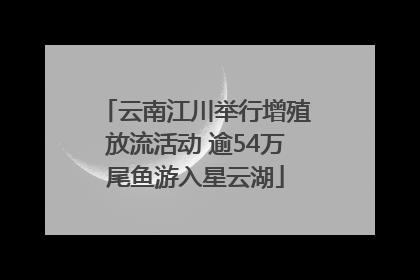 云南江川举行增殖放流活动 逾54万尾鱼游入星云湖