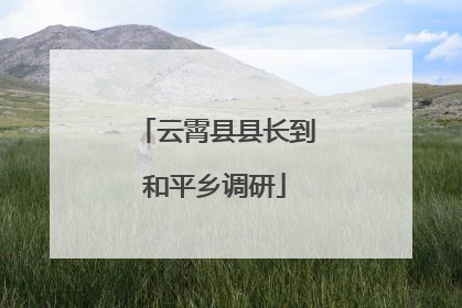 云霄县县长到和平乡调研