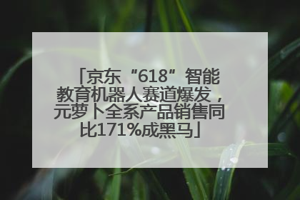 京东“618”智能教育机器人赛道爆发，元萝卜全系产品销售同比171%成黑马