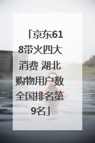 京东618带火四大消费 湖北购物用户数全国排名第9名