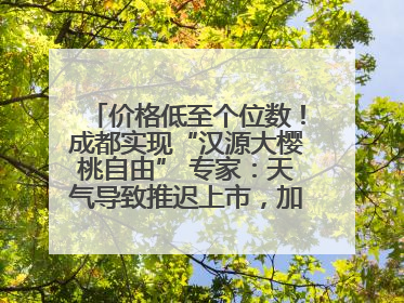 价格低至个位数！成都实现“汉源大樱桃自由” 专家：天气导致推迟上市，加之产量大