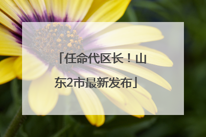 任命代区长！山东2市最新发布