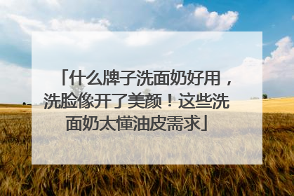 什么牌子洗面奶好用，洗脸像开了美颜！这些洗面奶太懂油皮需求