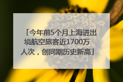 今年前5个月上海进出境航空旅客近1700万人次，创同期历史新高