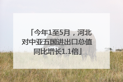 今年1至5月，河北对中亚五国进出口总值同比增长1.1倍