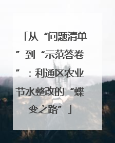 从“问题清单”到“示范答卷”：利通区农业节水整改的“蝶变之路”
