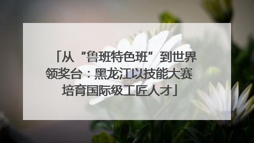 从“鲁班特色班”到世界领奖台：黑龙江以技能大赛培育国际级工匠人才