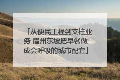 从便民工程到支柱业务 眉州东坡把早餐做成会呼吸的城市配套