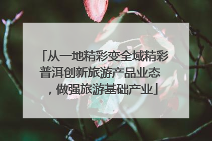 从一地精彩变全域精彩 普洱创新旅游产品业态，做强旅游基础产业