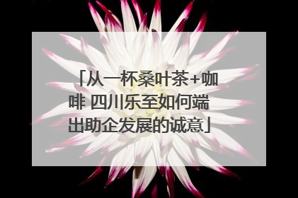 从一杯桑叶茶+咖啡 四川乐至如何端出助企发展的诚意