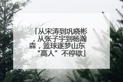 从宋涛到巩晓彬，从张子宇到杨瀚森，篮球逐梦山东“高人”不停歇