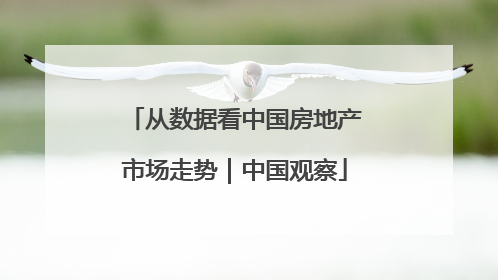 从数据看中国房地产市场走势｜中国观察