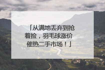 从满地丢弃到抢着捡，羽毛球涨价催热二手市场！