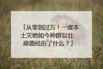 从零到过万！一度本土灭绝如今种群复壮 麋鹿经历了什么？