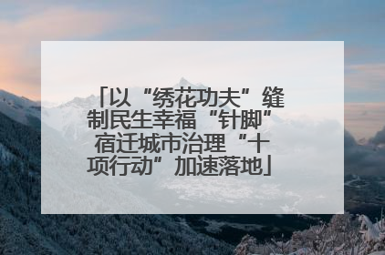 以“绣花功夫”缝制民生幸福“针脚” 宿迁城市治理“十项行动”加速落地