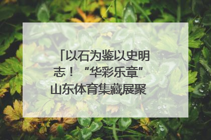 以石为鉴以史明志！“华彩乐章”山东体育集藏展聚焦“岱石丹心”