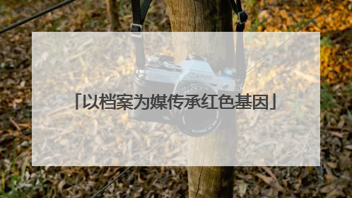 以档案为媒传承红色基因