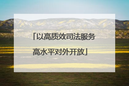以高质效司法服务高水平对外开放