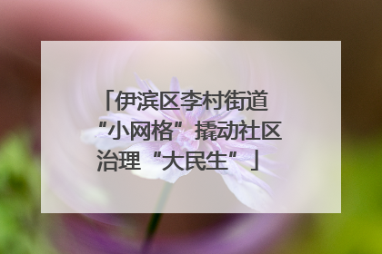 伊滨区李村街道 “小网格”撬动社区治理“大民生”