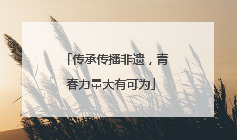 传承传播非遗，青春力量大有可为