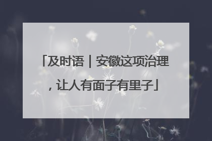 及时语｜安徽这项治理，让人有面子有里子