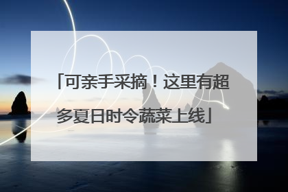 可亲手采摘！这里有超多夏日时令蔬菜上线