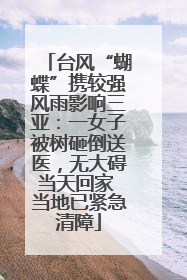 台风“蝴蝶”携较强风雨影响三亚：一女子被树砸倒送医，无大碍当天回家 当地已紧急清障