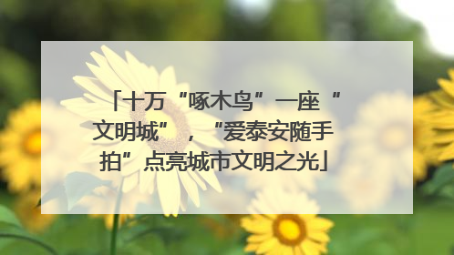 十万“啄木鸟”一座“文明城”，“爱泰安随手拍”点亮城市文明之光