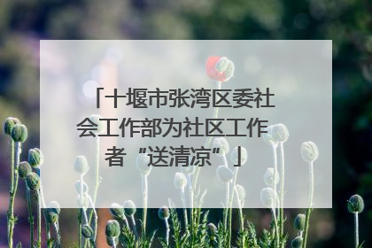十堰市张湾区委社会工作部为社区工作者“送清凉”
