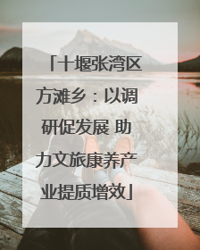 十堰张湾区方滩乡：以调研促发展 助力文旅康养产业提质增效
