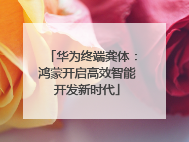 华为终端龚体：鸿蒙开启高效智能开发新时代