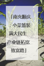 南充顺庆：小菜篮装满大民生 产业链拓宽致富路