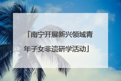 南宁开展新兴领域青年子女非遗研学活动