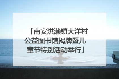 南安洪濑镇大洋村公益图书馆揭牌暨儿童节特别活动举行