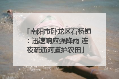 南阳市卧龙区石桥镇：迅速响应强降雨 连夜疏通河道护农田