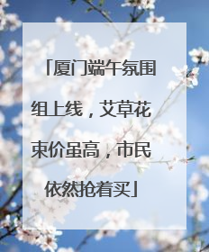厦门端午氛围组上线，艾草花束价虽高，市民依然抢着买