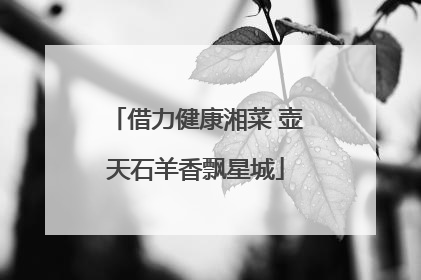 借力健康湘菜 壶天石羊香飘星城