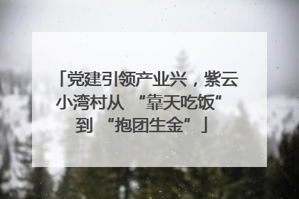 党建引领产业兴，紫云小湾村从 “靠天吃饭” 到 “抱团生金”