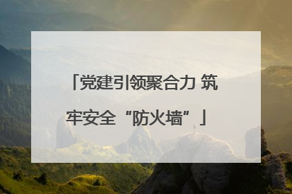 党建引领聚合力 筑牢安全“防火墙”